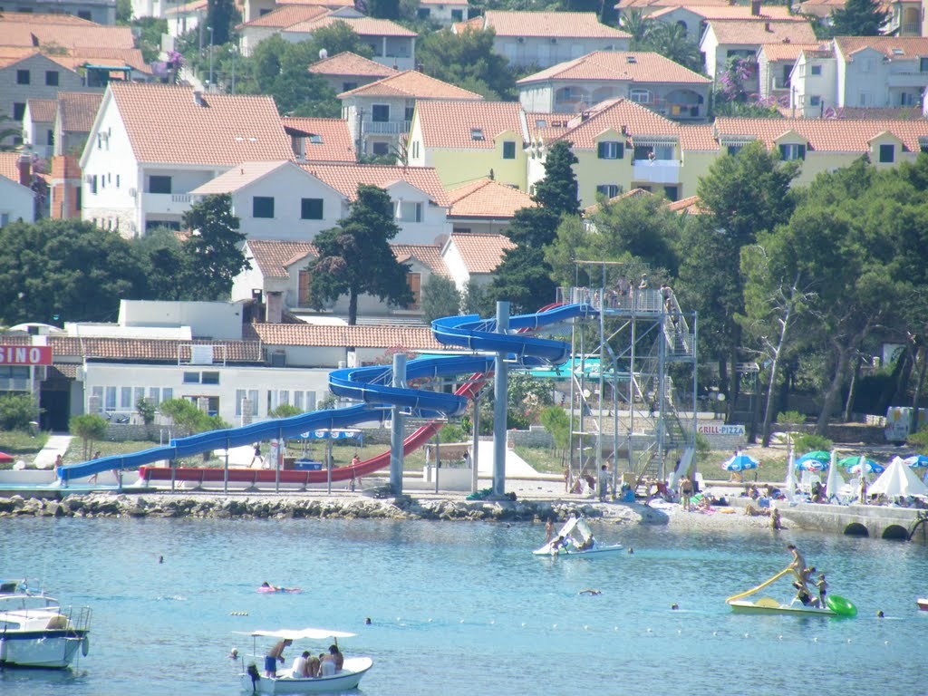 31342555.jpg