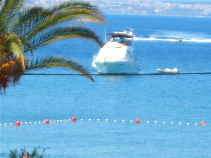 CIMG1782.JPG