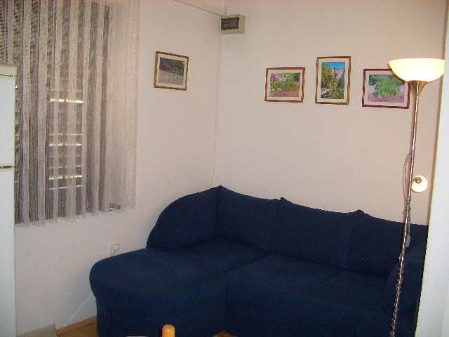 CIMG4535 (1).JPG