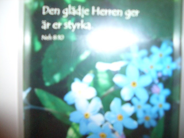 CIMG4949.JPG