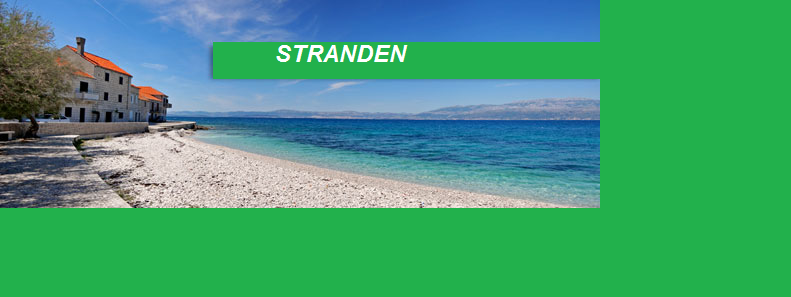 stranden vid villa Patricia.png