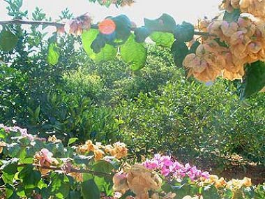 sutivan-apartmani_266_4.jpg