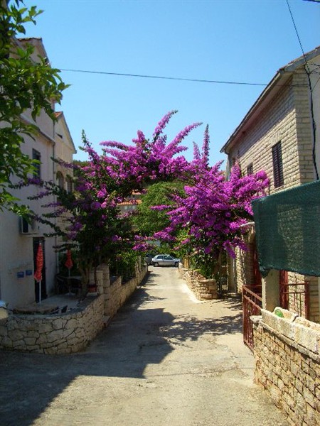 vila lea 033.JPG
