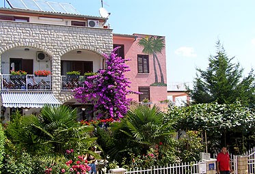 villa Olga.jpg