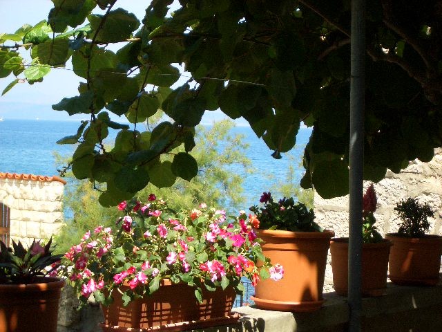 villa julie 2013 034.JPG